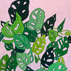 Monstera Leaves